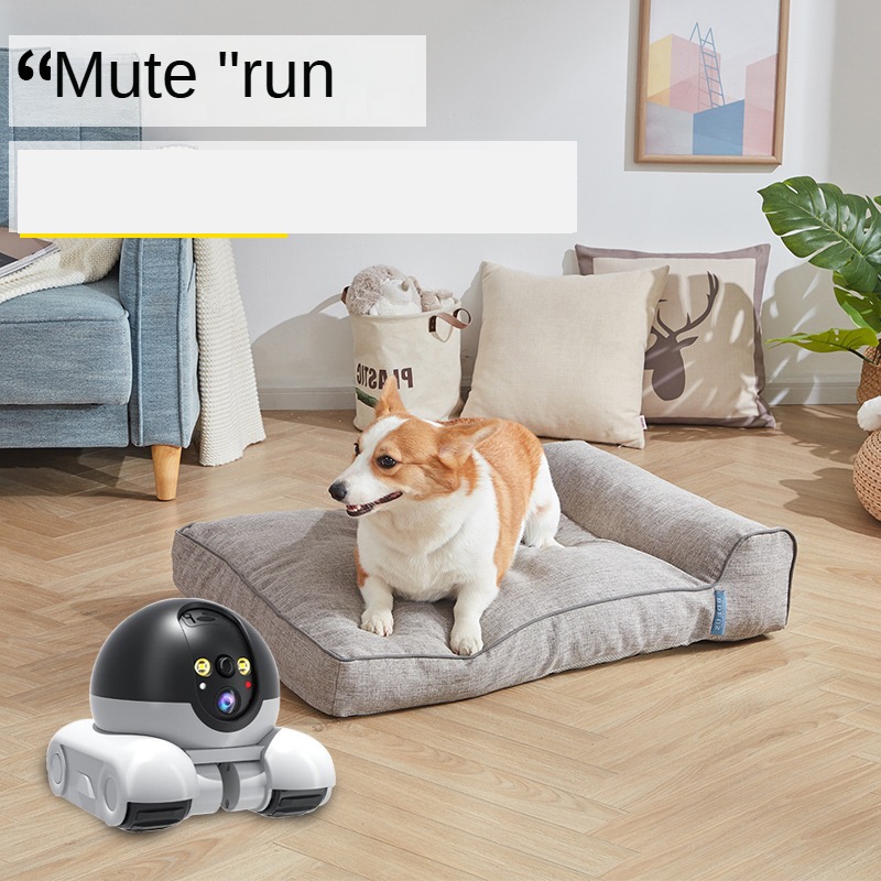 Новая Wi-Fi камера 1080P HD PT – обзор и цена Home Security Robot